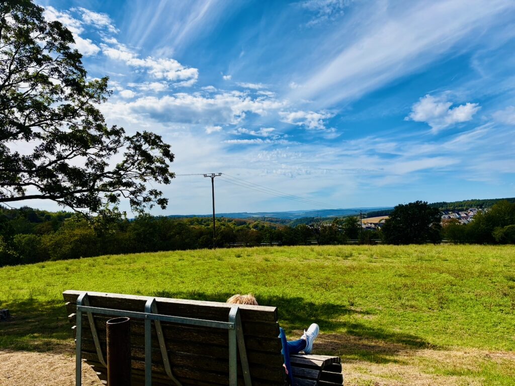 Heiss´-Baeumchen-bei-Dachsenhausen-2026-9-1024x768 Heiß´ Bäumchen bei Dachsenhausen – ein Aussichtspunkt mit Fernblick über das Blaue Ländchen