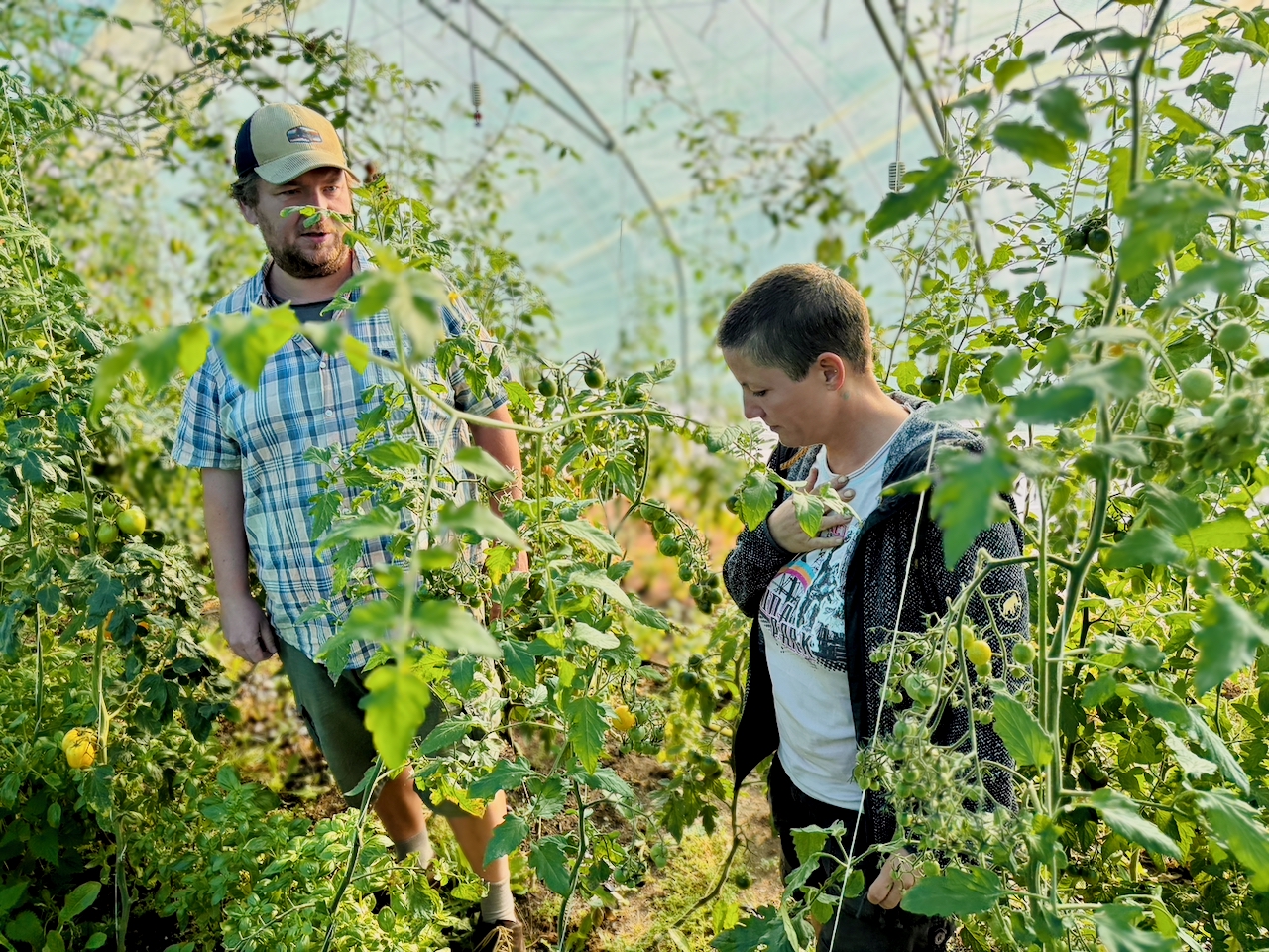 Oelsberger-Gartengemuese-2026-16 Bisher hier erschienen: