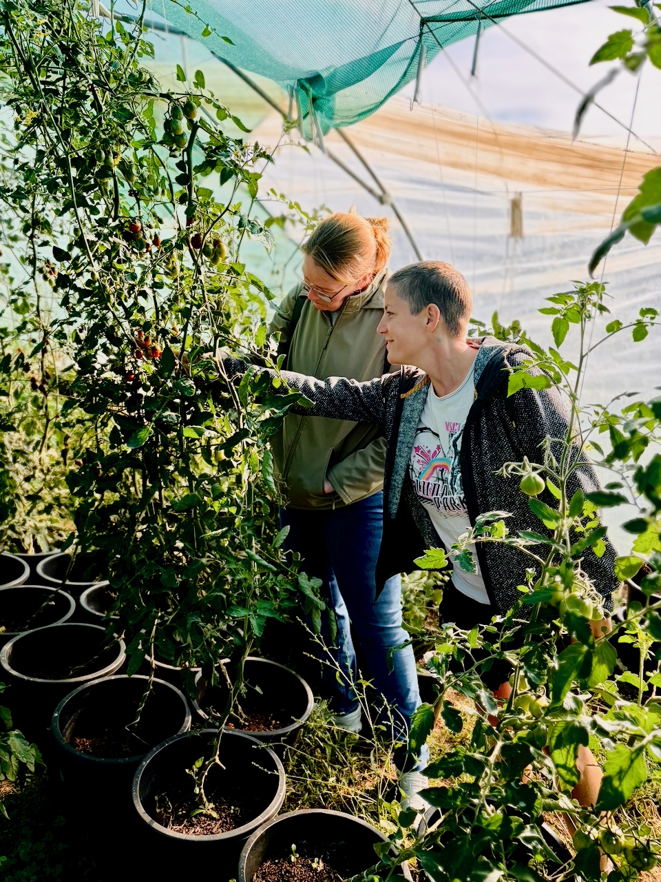 Oelsberger-Gartengemuese-2026-18 Timo & Line vom Oelsberger Gartengemüse – Qualität, Frische, Geschmack & Aroma sind das Wichtigste