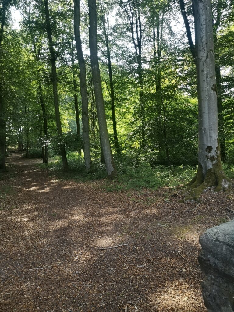 Rehse_11-768x1024 Römerkastell Holzhausen an der Haide: Der letzte Cicerone?!