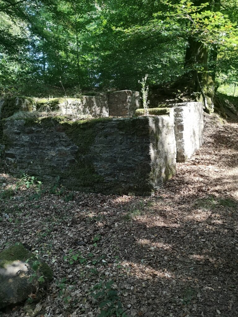 Rehse_12-768x1024 Römerkastell Holzhausen an der Haide: Der letzte Cicerone?!