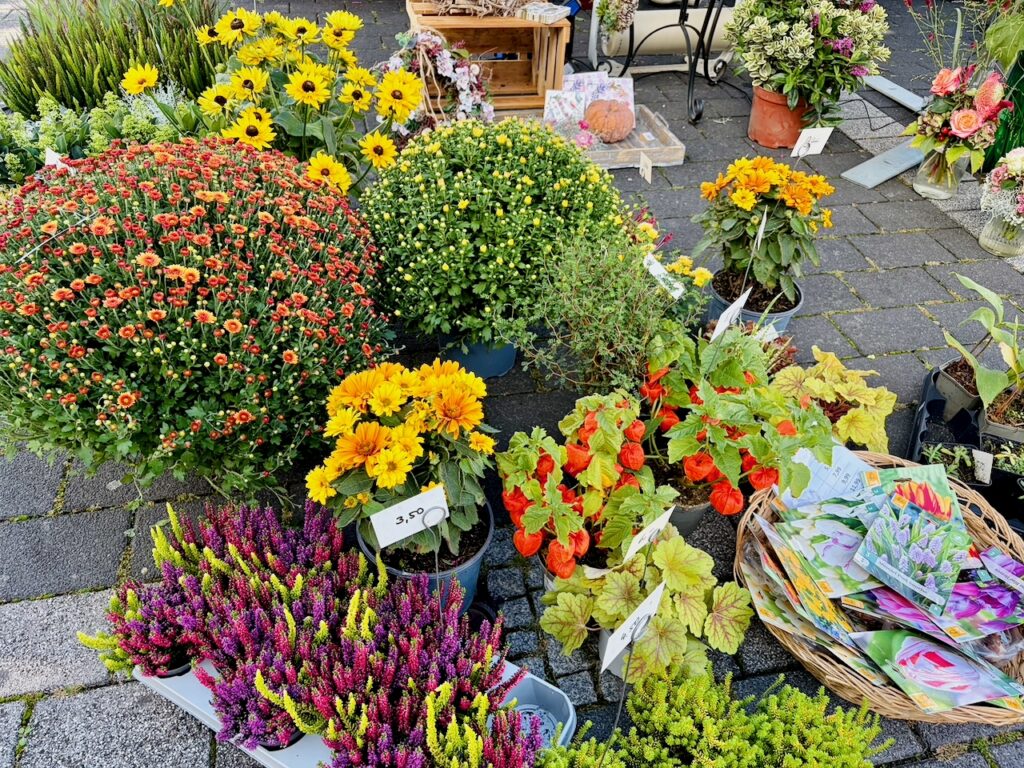 Wochenmarkt-in-Nastaetten-2026-19-1024x768 Wochenmarkt in Nastätten – frisch, regional und jeden Freitag
