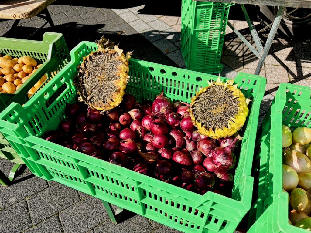 Wochenmarkt-in-Nastaetten-2026-41-1024x768 Wochenmarkt in Nastätten – frisch, regional und jeden Freitag