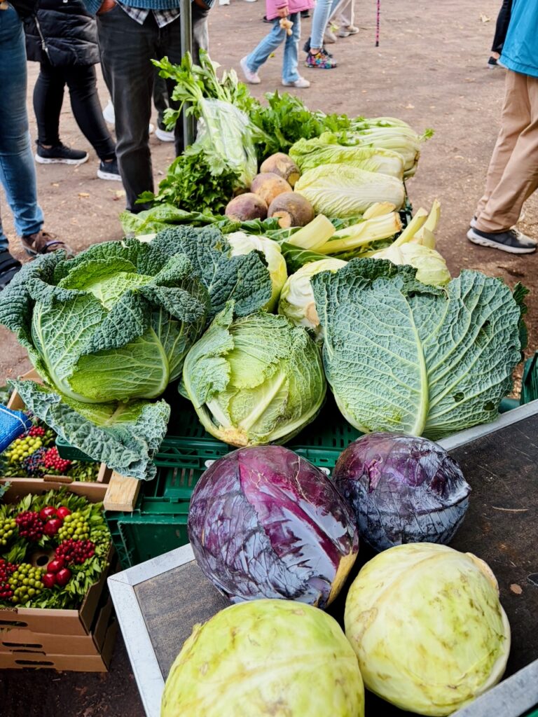 1.-Wochenmarkt-in-Lahnstein-im-Schillerpark-2026-29-768x1024 Start zum neuen Lahnsteiner Wochenmarkt im Schillerpark erfolgreich – großer Ansturm und gute Stimmung