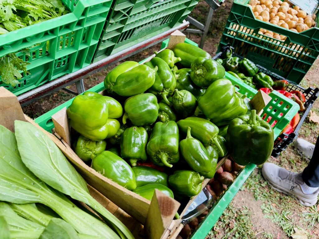 1.-Wochenmarkt-in-Lahnstein-im-Schillerpark-2026-56-1024x768 Start zum neuen Lahnsteiner Wochenmarkt im Schillerpark erfolgreich – großer Ansturm und gute Stimmung