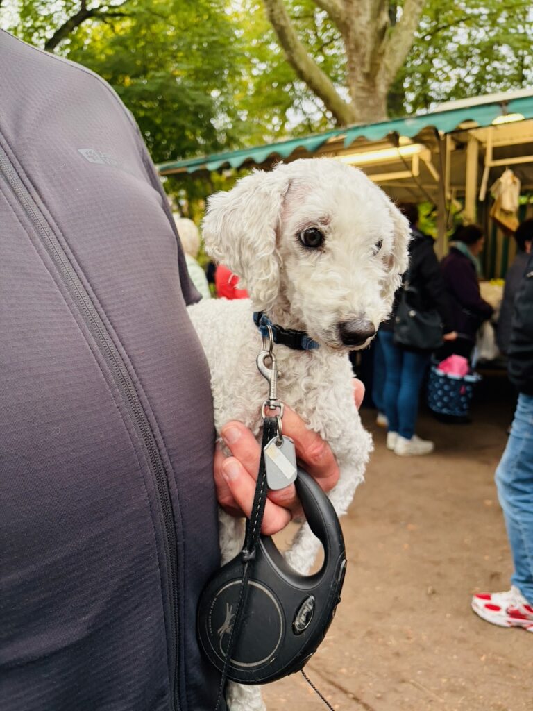 1.-Wochenmarkt-in-Lahnstein-im-Schillerpark-2026-66-768x1024 Start zum neuen Lahnsteiner Wochenmarkt im Schillerpark erfolgreich – großer Ansturm und gute Stimmung