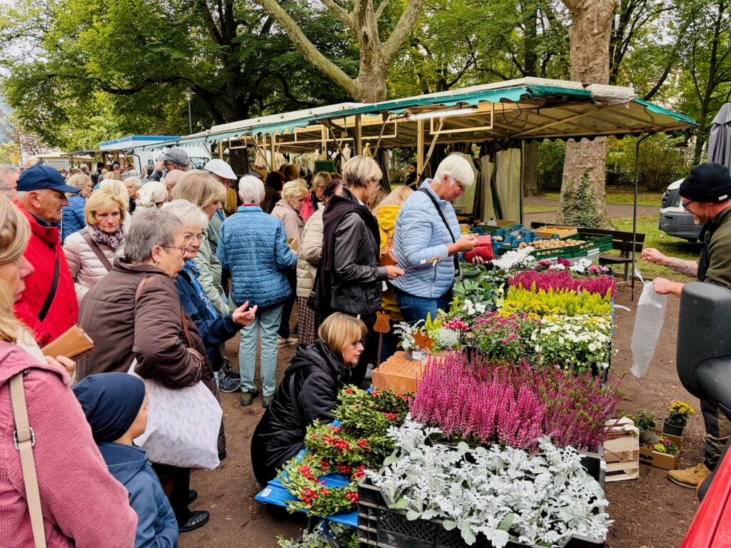 1.-Wochenmarkt-in-Lahnstein-im-Schillerpark-2026-68-1024x768 Start zum neuen Lahnsteiner Wochenmarkt im Schillerpark erfolgreich – großer Ansturm und gute Stimmung