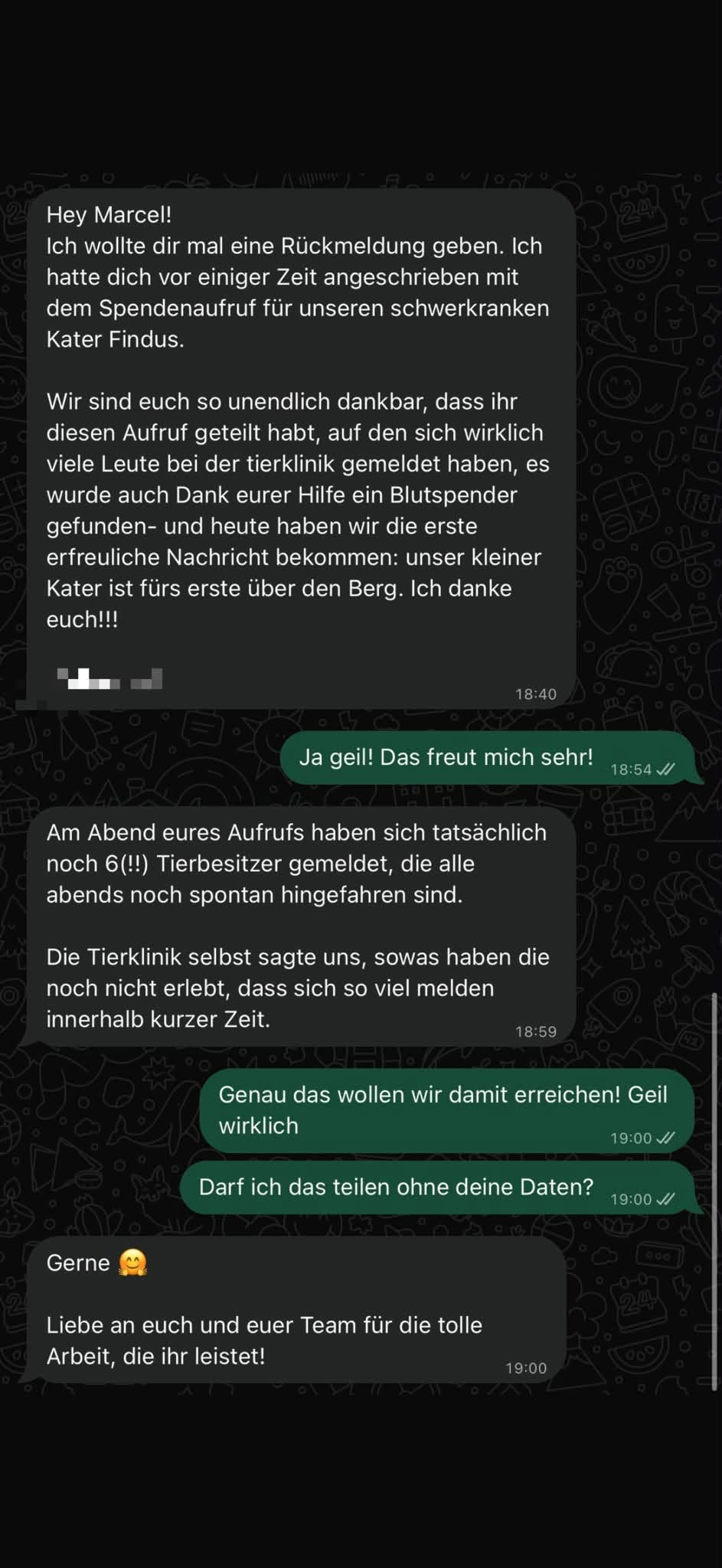 862983228_29485297047827312_4972699399648336604_n Kater Findus gerettet! Nicht weg geschaut, sondern losgefahren: Sechs Tierbesitzer schenken Hoffnung