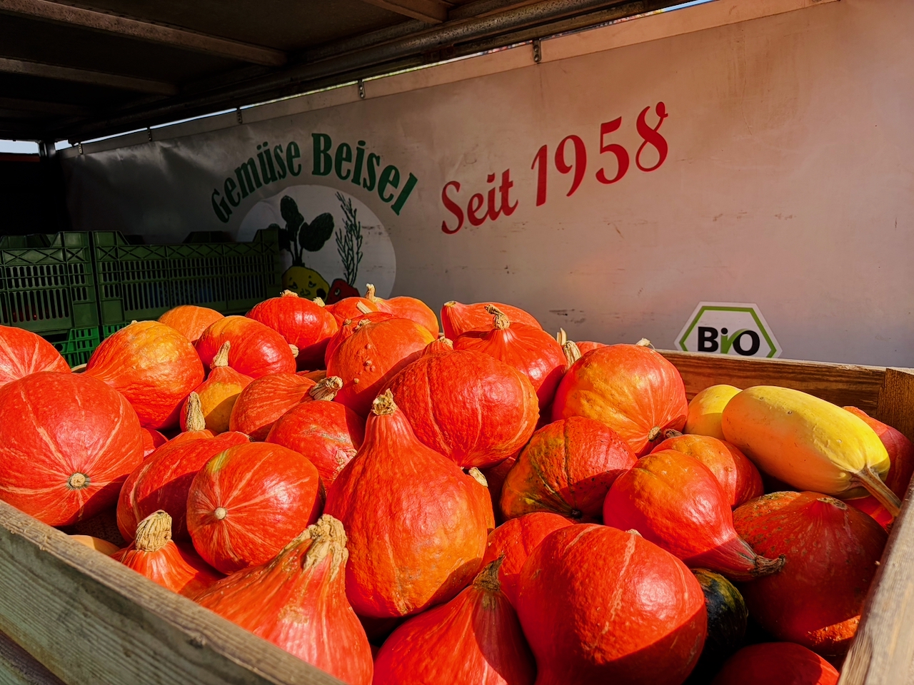 Bogeler-Markt-2026-104 Dorf kann Markt! Bogeler Herbstmarkt 2026: Ein wunderbarer Tag für Bogel und die ganze Region