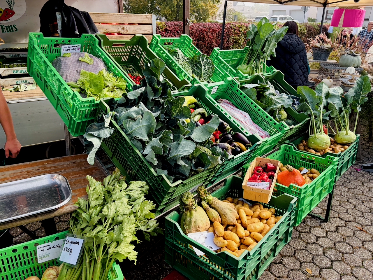 Bogeler-Markt-2026-160 Dorf kann Markt! Bogeler Herbstmarkt 2026: Ein wunderbarer Tag für Bogel und die ganze Region