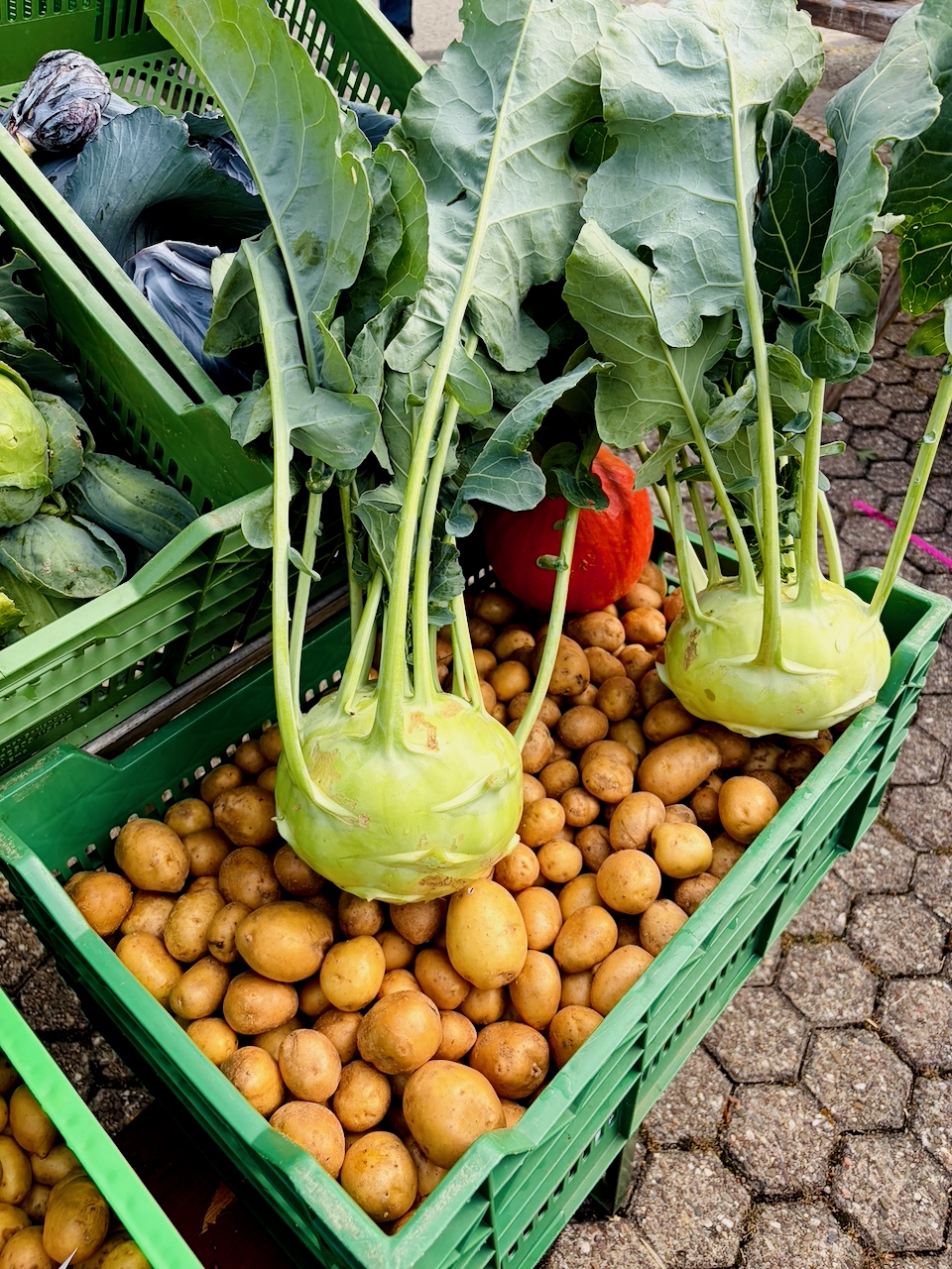 Bogeler-Markt-2026-164 Dorf kann Markt! Bogeler Herbstmarkt 2026: Ein wunderbarer Tag für Bogel und die ganze Region
