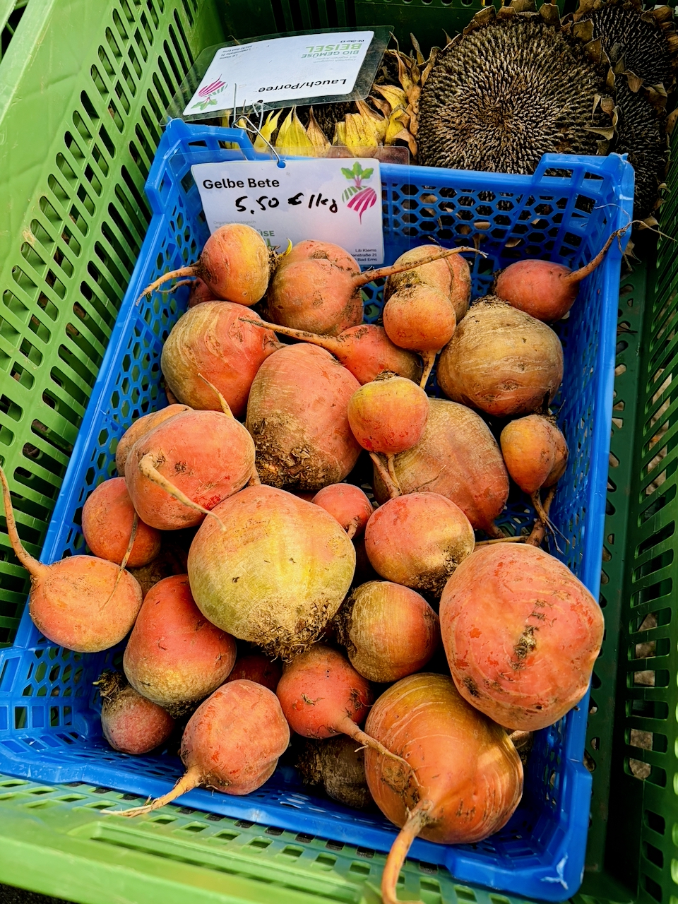 Bogeler-Markt-2026-170 Dorf kann Markt! Bogeler Herbstmarkt 2026: Ein wunderbarer Tag für Bogel und die ganze Region