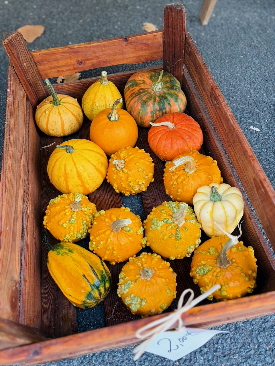 Bogeler-Markt-2026-25 Dorf kann Markt! Bogeler Herbstmarkt 2026: Ein wunderbarer Tag für Bogel und die ganze Region