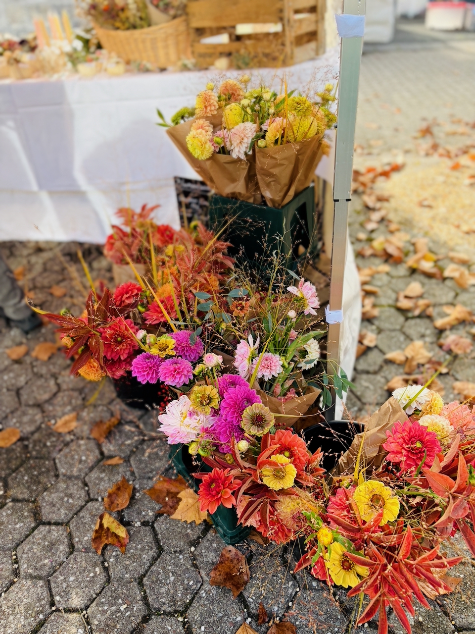Bogeler-Markt-2026-36 Dorf kann Markt! Bogeler Herbstmarkt 2026: Ein wunderbarer Tag für Bogel und die ganze Region