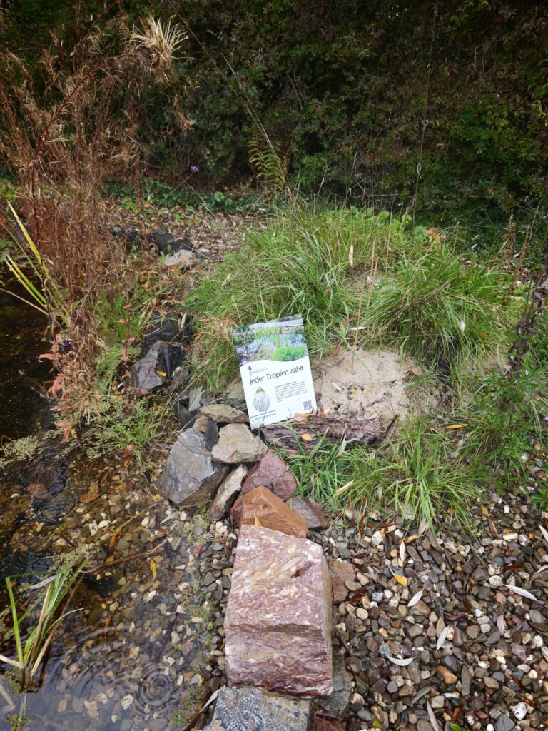 Frank_2_12-768x1024 Eine gärtnerische Zeitenwende für den Artenschutz! Und das nicht nur im eigenen Garten.