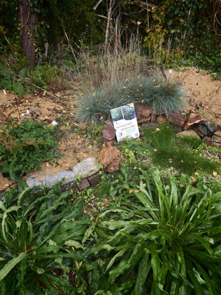 Frank_2_14a-768x1024 Eine gärtnerische Zeitenwende für den Artenschutz! Und das nicht nur im eigenen Garten.