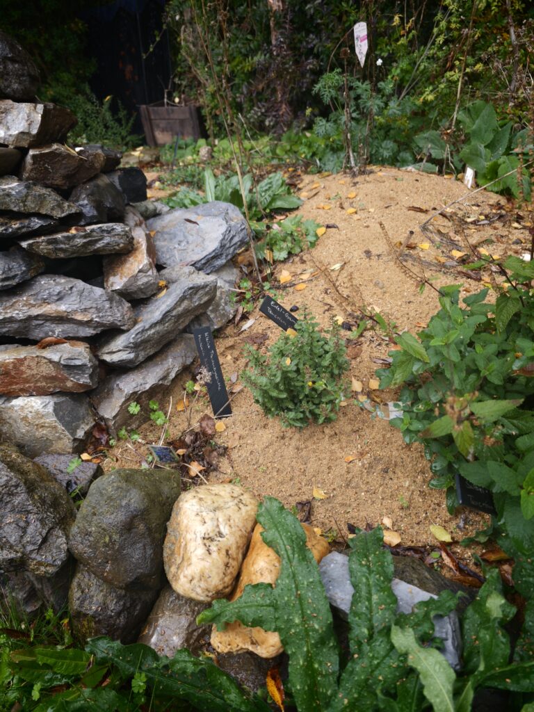 Frank_2_15a-768x1024 Eine gärtnerische Zeitenwende für den Artenschutz! Und das nicht nur im eigenen Garten.