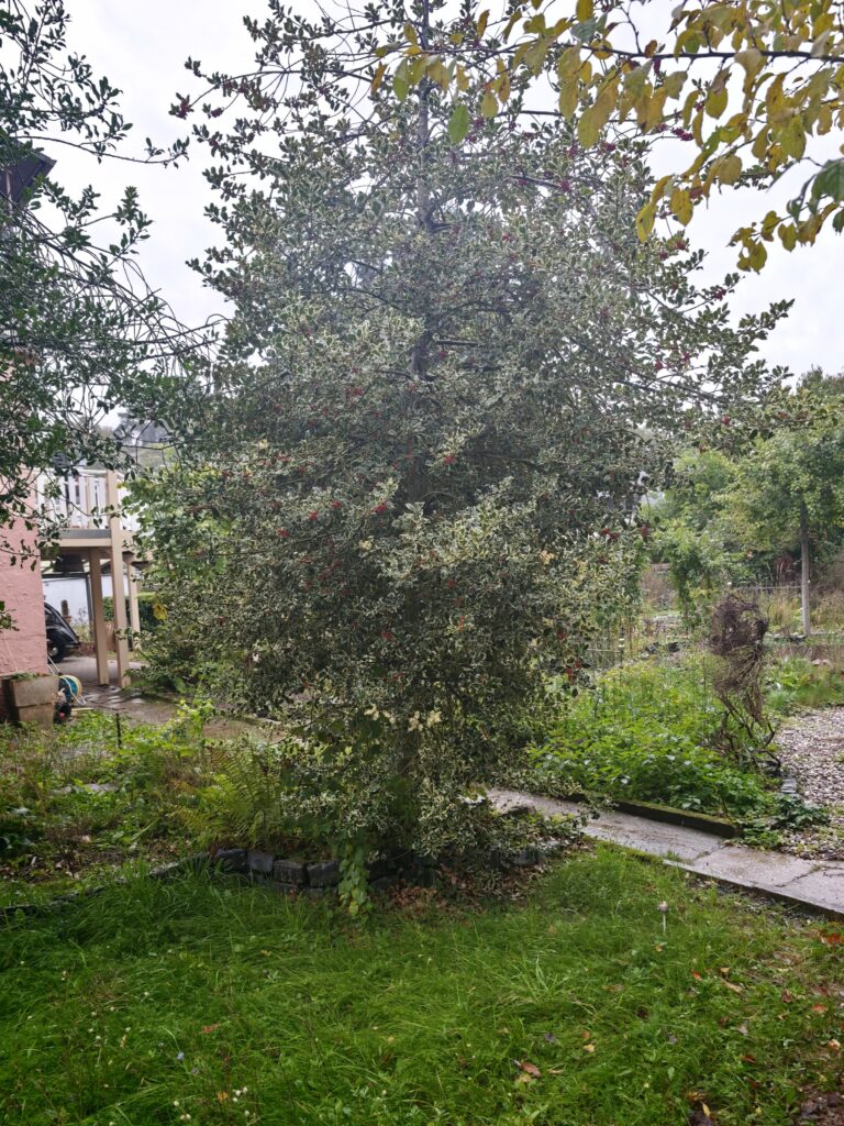Frank_2_25-768x1024 Eine gärtnerische Zeitenwende für den Artenschutz! Und das nicht nur im eigenen Garten.