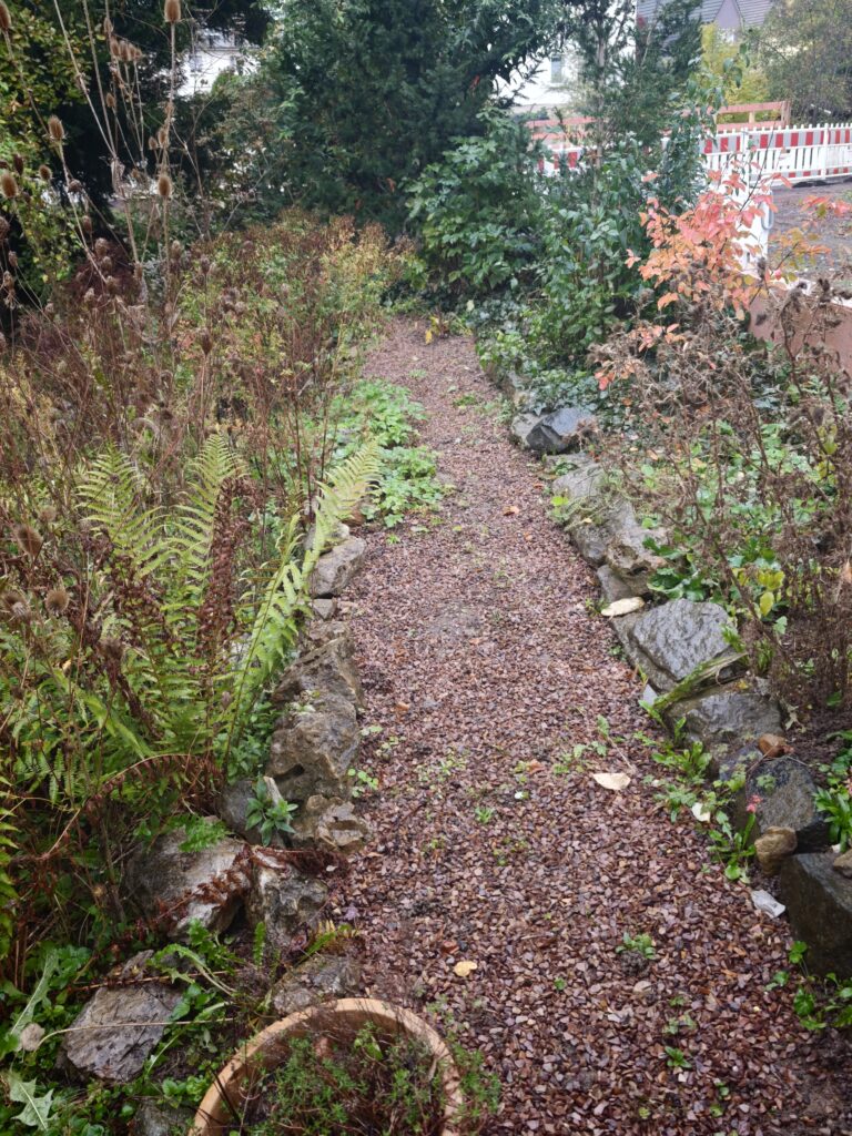 Frank_2_26a-768x1024 Eine gärtnerische Zeitenwende für den Artenschutz! Und das nicht nur im eigenen Garten.
