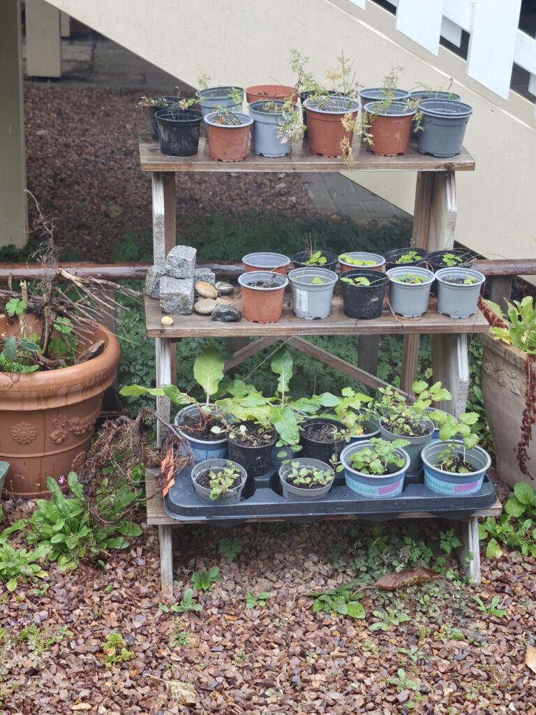 Frank_2_3-768x1024 Eine gärtnerische Zeitenwende für den Artenschutz! Und das nicht nur im eigenen Garten.