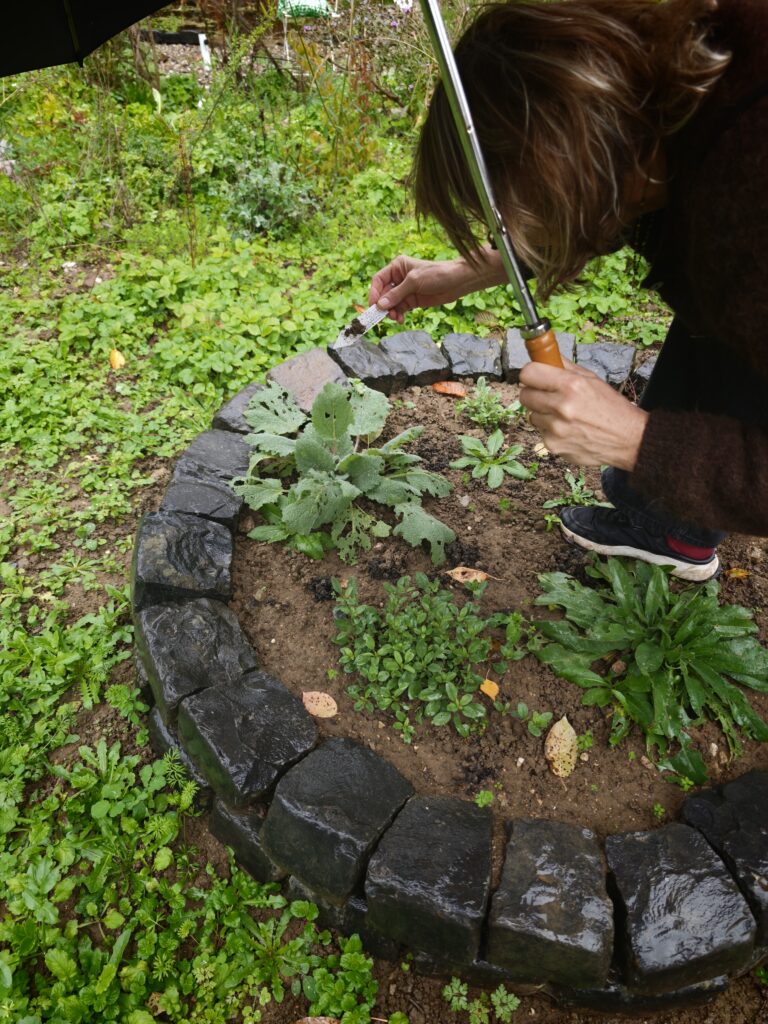 Frank_2_31-768x1024 Eine gärtnerische Zeitenwende für den Artenschutz! Und das nicht nur im eigenen Garten.