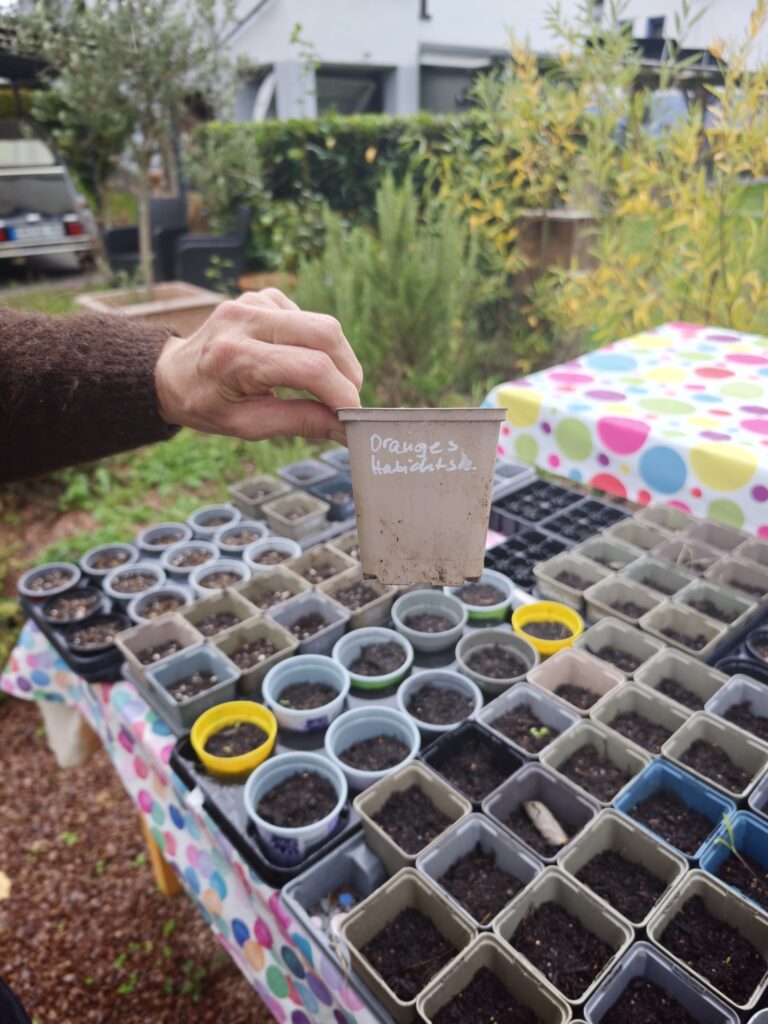 Frank_2_8-768x1024 Eine gärtnerische Zeitenwende für den Artenschutz! Und das nicht nur im eigenen Garten.