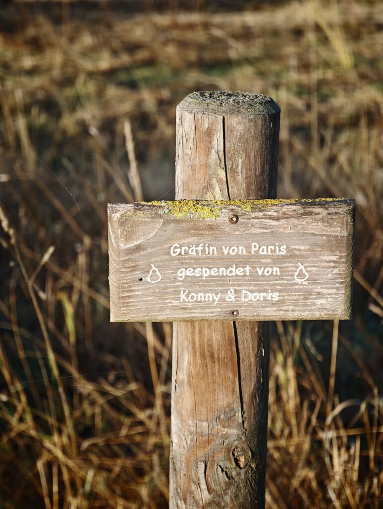 Graefin-von-Paris_Schild-771x1024 Berghausen: ein glückliches Dorf im Einrich