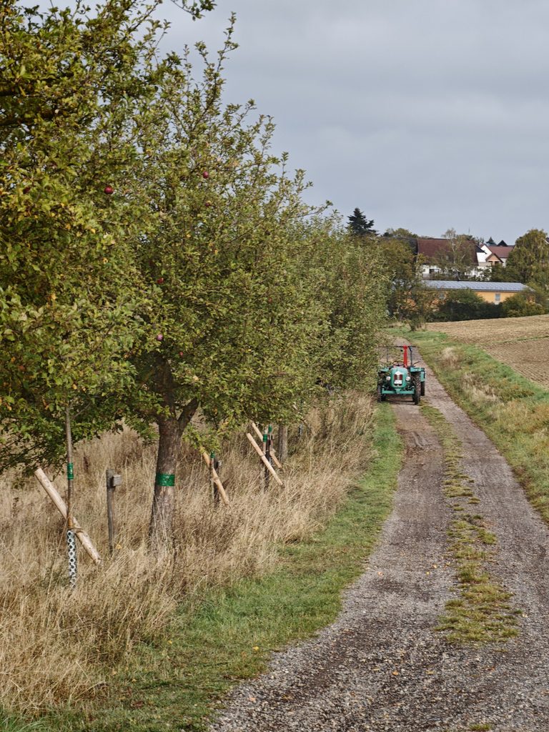 Traktor-auf-dem-Schulweg-768x1024-1 Berghausen: ein glückliches Dorf im Einrich