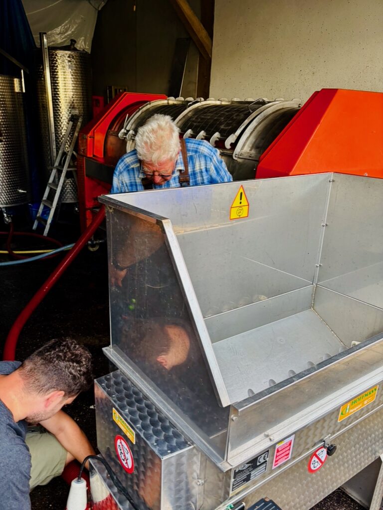 Weinlese-Weingut-Loos-Doerscheid-2026-105-768x1024 Weingut Loos in Dörscheid - wo sich Schiefer, Sonne und Handwerk in feinen Weinen ausdrücken