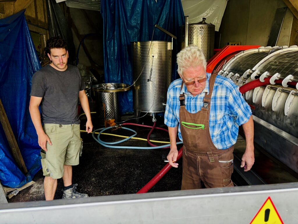Weinlese-Weingut-Loos-Doerscheid-2026-106-1024x768 Weingut Loos in Dörscheid - wo sich Schiefer, Sonne und Handwerk in feinen Weinen ausdrücken