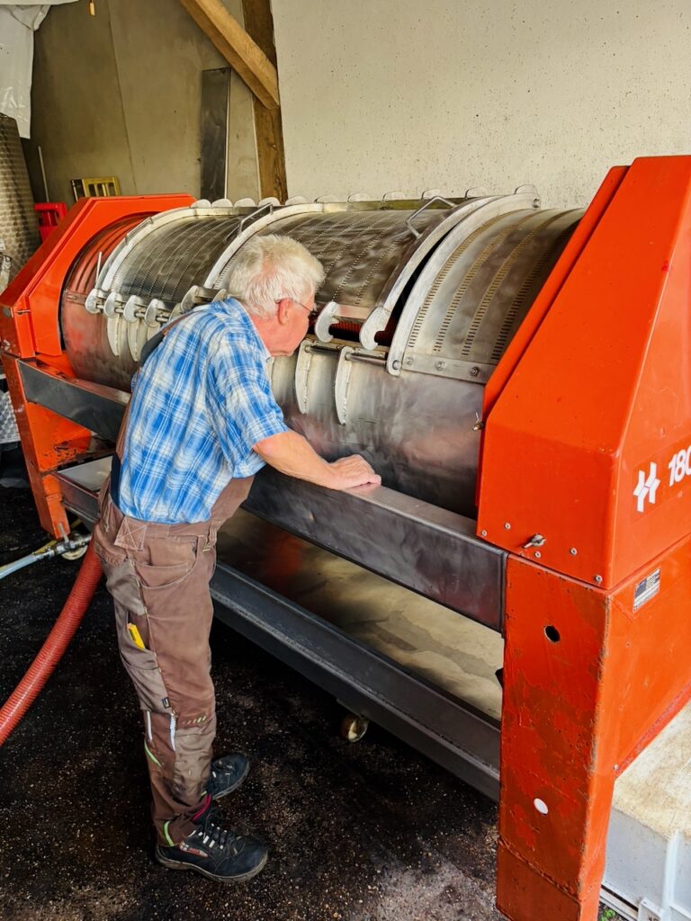 Weinlese-Weingut-Loos-Doerscheid-2026-118-768x1024 Weingut Loos in Dörscheid - wo sich Schiefer, Sonne und Handwerk in feinen Weinen ausdrücken