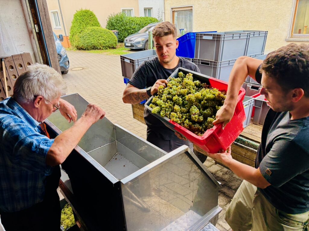 Weinlese-Weingut-Loos-Doerscheid-2026-119-1024x768 Weingut Loos in Dörscheid - wo sich Schiefer, Sonne und Handwerk in feinen Weinen ausdrücken