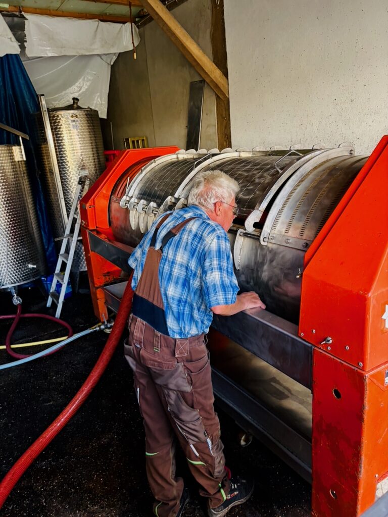 Weinlese-Weingut-Loos-Doerscheid-2026-123-768x1024 Weingut Loos in Dörscheid - wo sich Schiefer, Sonne und Handwerk in feinen Weinen ausdrücken