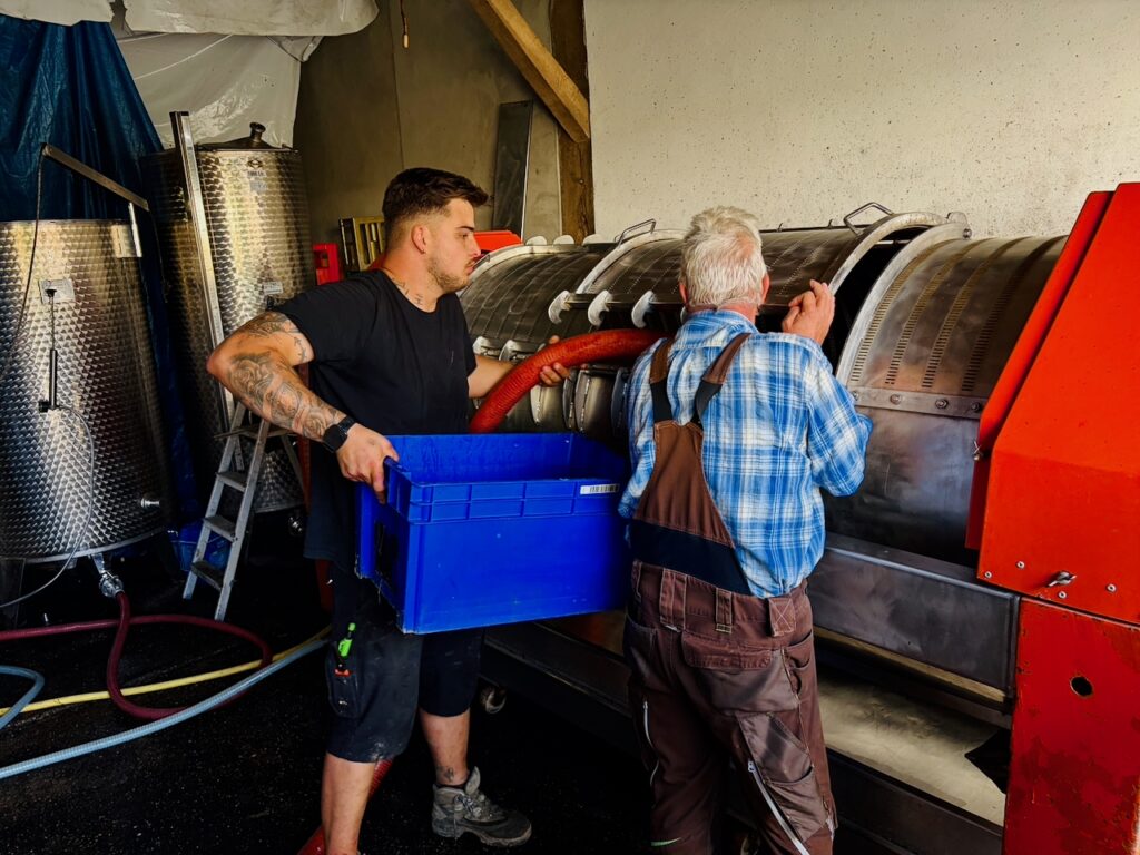 Weinlese-Weingut-Loos-Doerscheid-2026-125-1024x768 Weingut Loos in Dörscheid - wo sich Schiefer, Sonne und Handwerk in feinen Weinen ausdrücken