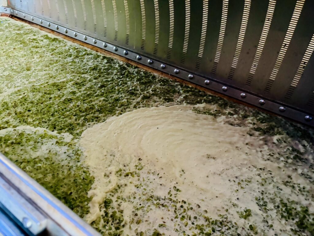 Weinlese-Weingut-Loos-Doerscheid-2026-126-1024x768 Weingut Loos in Dörscheid - wo sich Schiefer, Sonne und Handwerk in feinen Weinen ausdrücken