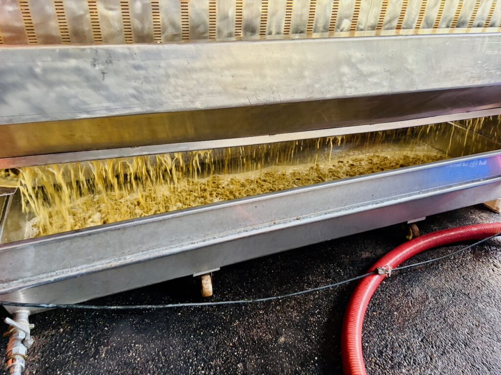 Weinlese-Weingut-Loos-Doerscheid-2026-129-1024x768 Weingut Loos in Dörscheid - wo sich Schiefer, Sonne und Handwerk in feinen Weinen ausdrücken