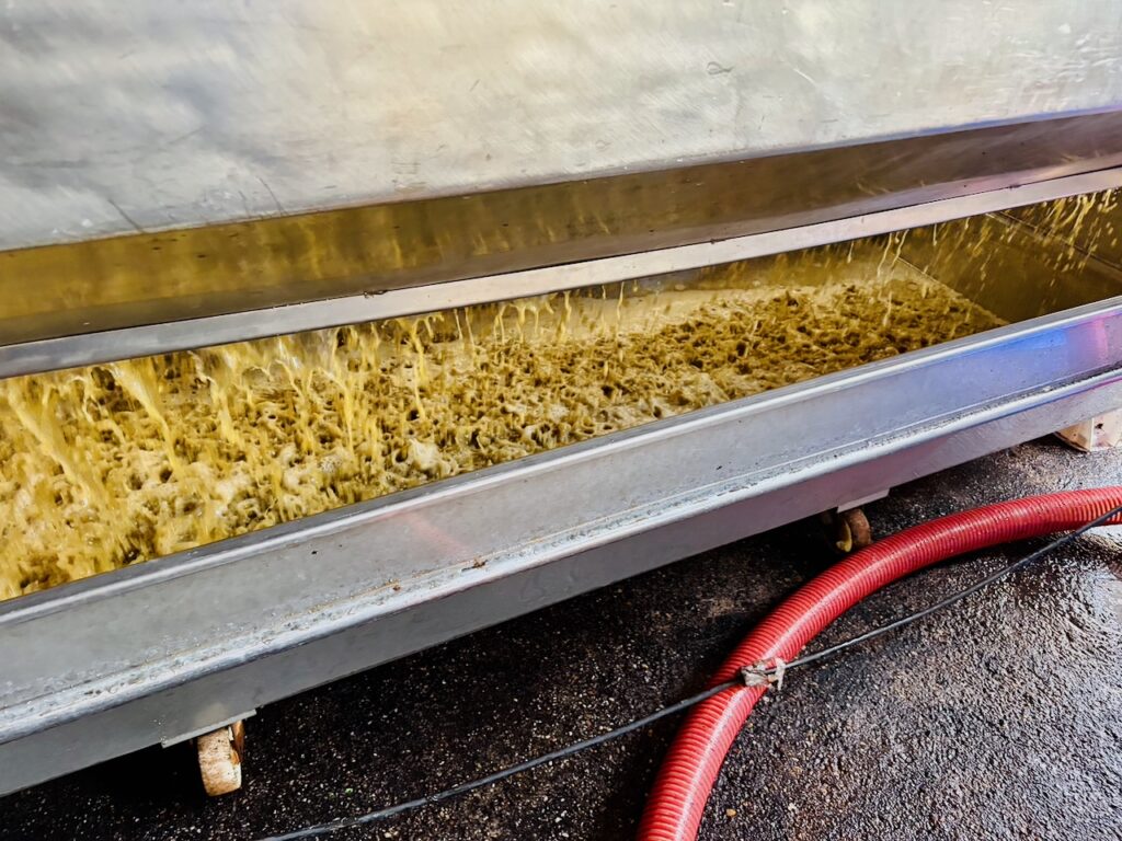 Weinlese-Weingut-Loos-Doerscheid-2026-130-1024x768 Weingut Loos in Dörscheid - wo sich Schiefer, Sonne und Handwerk in feinen Weinen ausdrücken