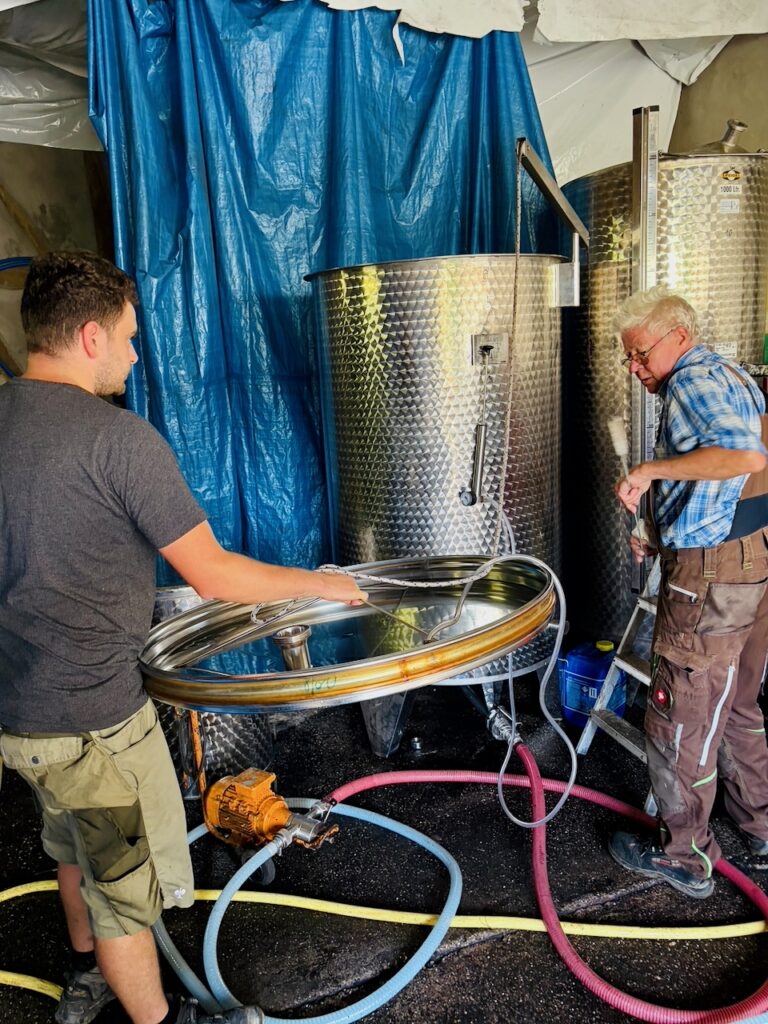 Weinlese-Weingut-Loos-Doerscheid-2026-134-768x1024 Weingut Loos in Dörscheid - wo sich Schiefer, Sonne und Handwerk in feinen Weinen ausdrücken