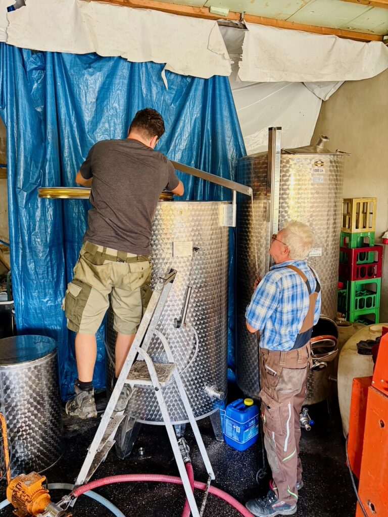 Weinlese-Weingut-Loos-Doerscheid-2026-135-768x1024 Weingut Loos in Dörscheid - wo sich Schiefer, Sonne und Handwerk in feinen Weinen ausdrücken