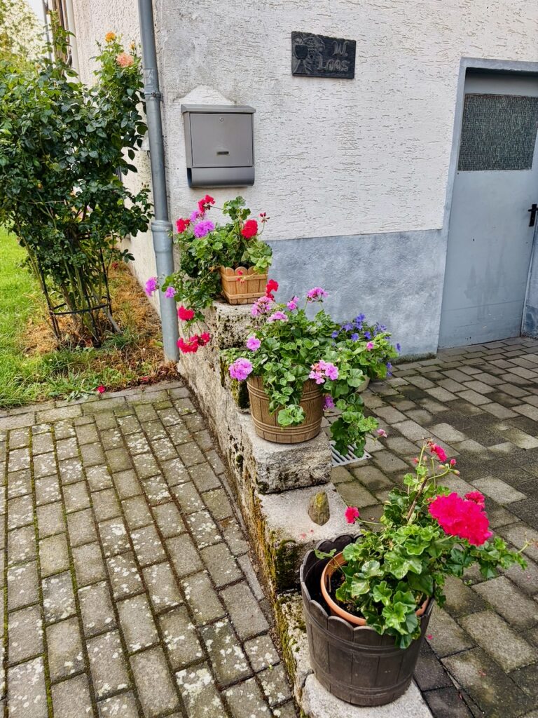 Weinlese-Weingut-Loos-Doerscheid-2026-23-768x1024 Weingut Loos in Dörscheid - wo sich Schiefer, Sonne und Handwerk in feinen Weinen ausdrücken