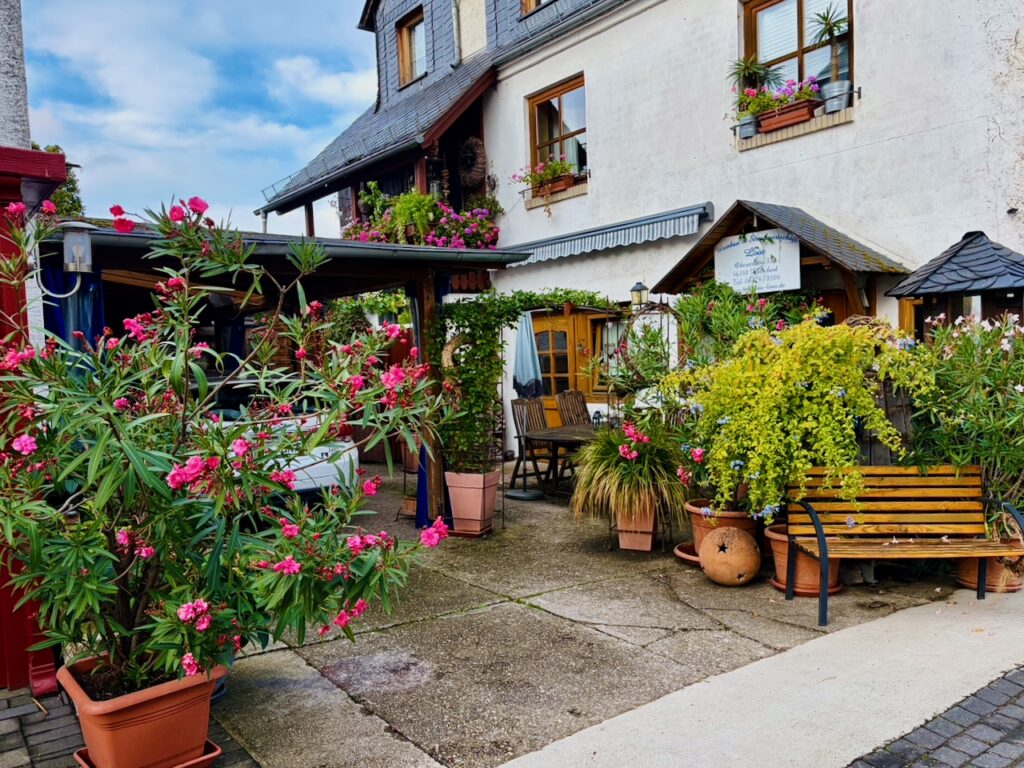 Weinlese-Weingut-Loos-Doerscheid-2026-24-1024x768 Weingut Loos in Dörscheid - wo sich Schiefer, Sonne und Handwerk in feinen Weinen ausdrücken