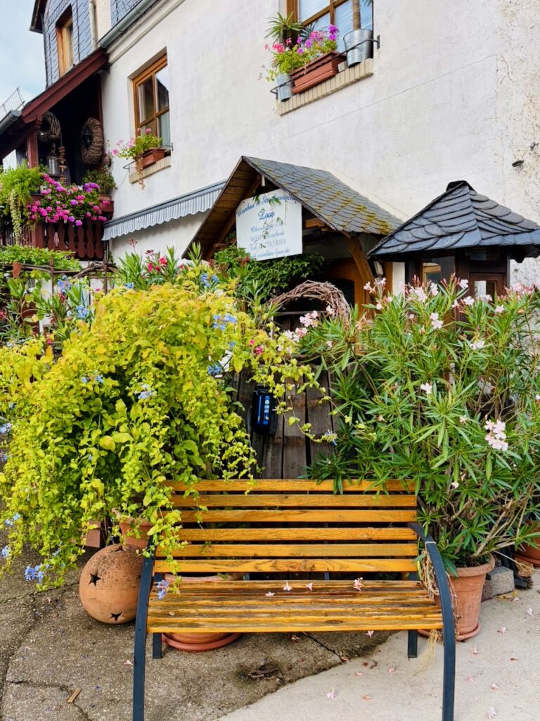 Weinlese-Weingut-Loos-Doerscheid-2026-25-768x1024 Weingut Loos in Dörscheid - wo sich Schiefer, Sonne und Handwerk in feinen Weinen ausdrücken