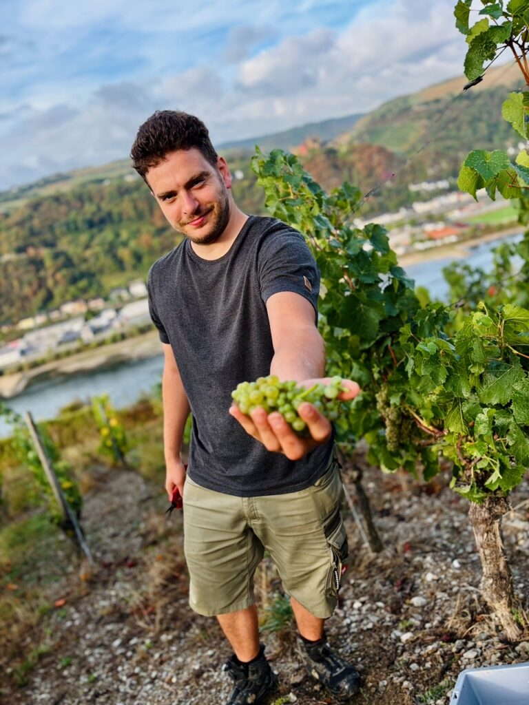 Weinlese-Weingut-Loos-Doerscheid-2026-42-768x1024 Weingut Loos in Dörscheid - wo sich Schiefer, Sonne und Handwerk in feinen Weinen ausdrücken