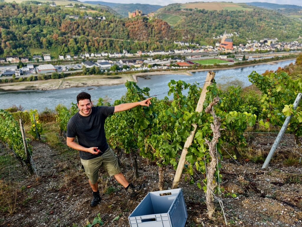 Weinlese-Weingut-Loos-Doerscheid-2026-45-1024x768 Weingut Loos in Dörscheid - wo sich Schiefer, Sonne und Handwerk in feinen Weinen ausdrücken