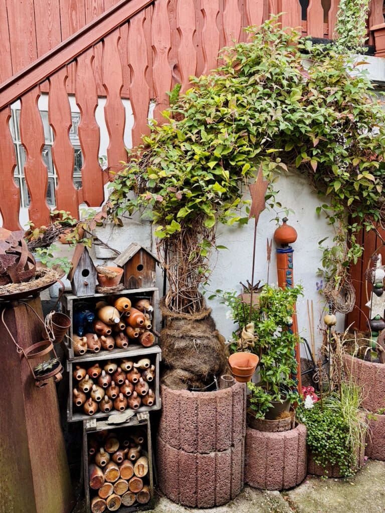 Weinlese-Weingut-Loos-Doerscheid-2026-8-768x1024 Weingut Loos in Dörscheid - wo sich Schiefer, Sonne und Handwerk in feinen Weinen ausdrücken