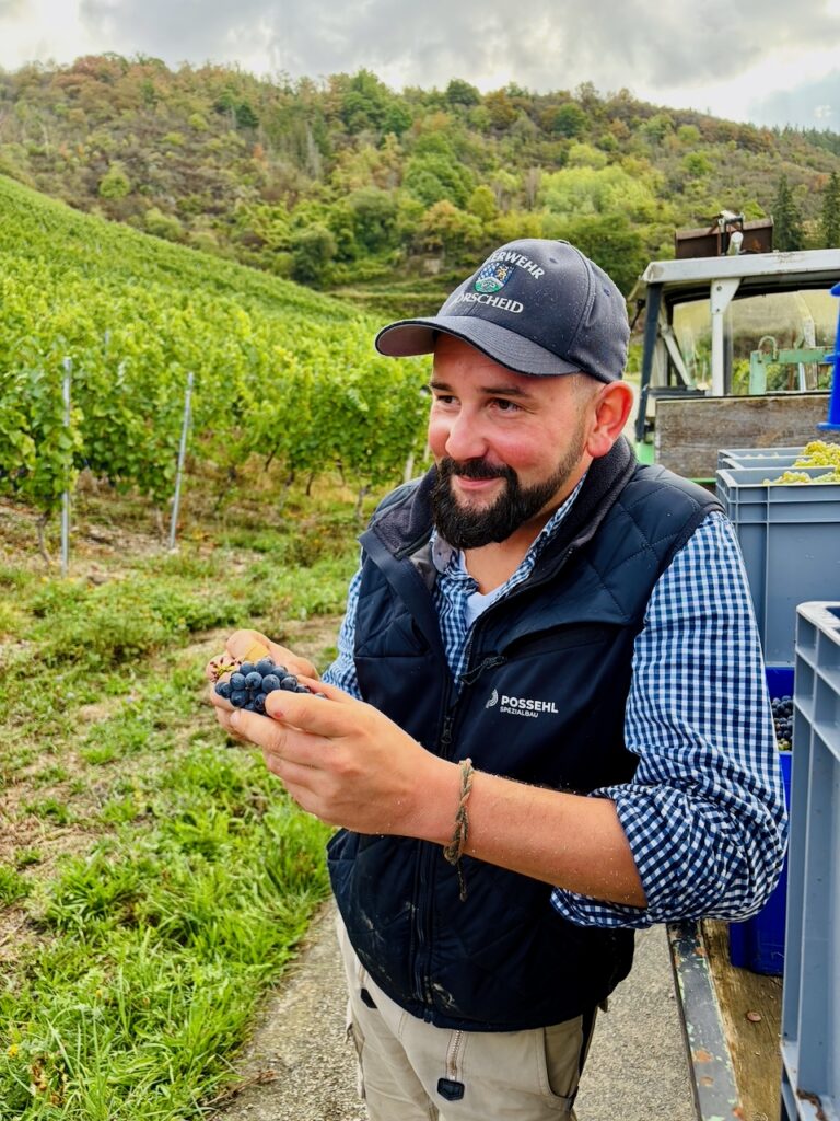 Weinlese-Weingut-Loos-Doerscheid-2026-87-768x1024 Weingut Loos in Dörscheid - wo sich Schiefer, Sonne und Handwerk in feinen Weinen ausdrücken