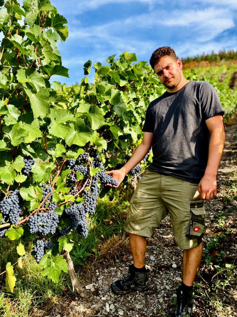 Weinlese-Weingut-Loos-Doerscheid-2026-94-768x1024 Weingut Loos in Dörscheid - wo sich Schiefer, Sonne und Handwerk in feinen Weinen ausdrücken