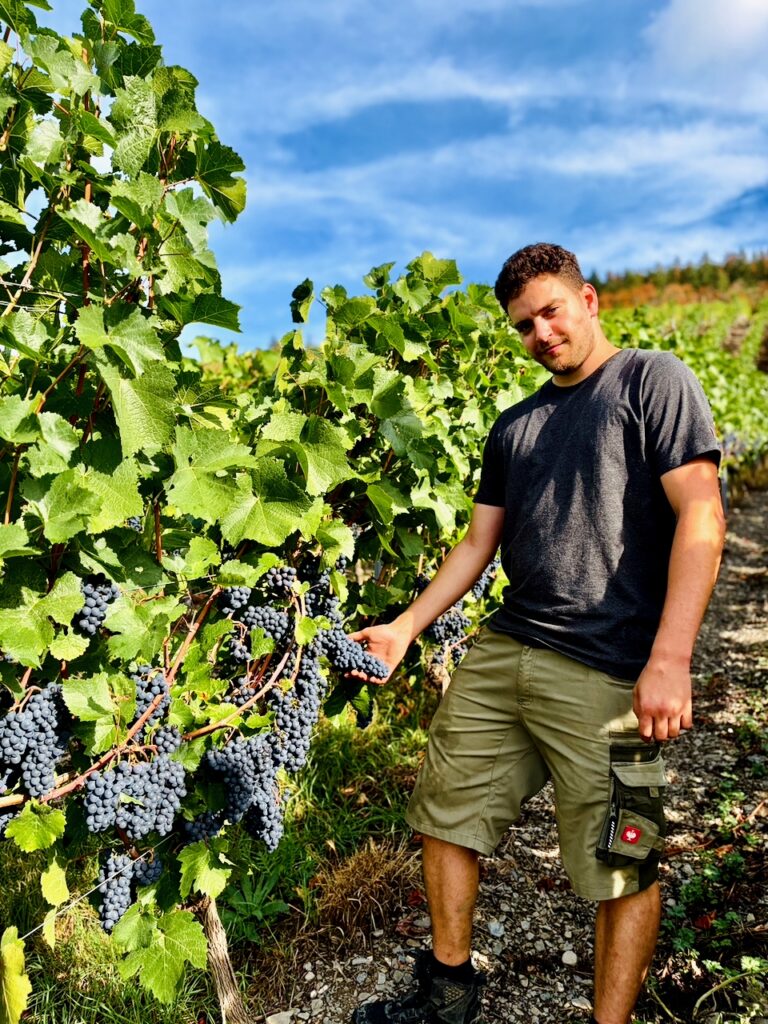 Weinlese-Weingut-Loos-Doerscheid-2026-95-768x1024 Weingut Loos in Dörscheid - wo sich Schiefer, Sonne und Handwerk in feinen Weinen ausdrücken