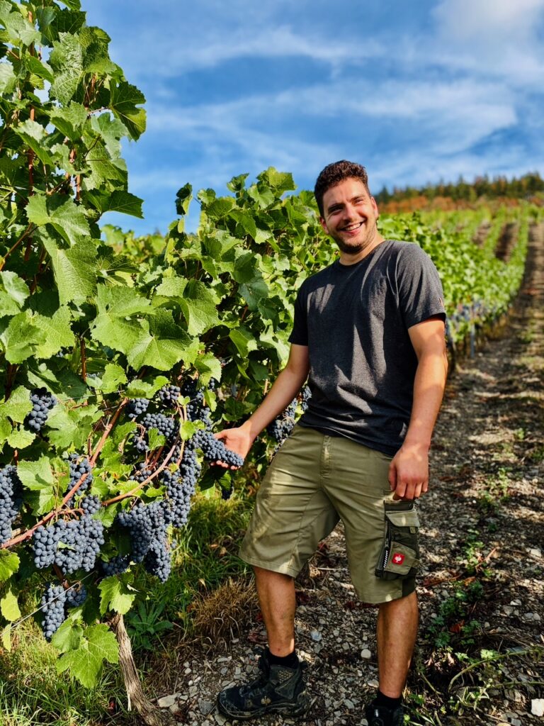 Weinlese-Weingut-Loos-Doerscheid-2026-97-768x1024 Weingut Loos in Dörscheid - wo sich Schiefer, Sonne und Handwerk in feinen Weinen ausdrücken